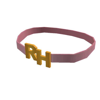 Rainbow High Sabrina's Rose Gold & Pink Belt