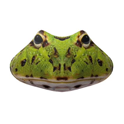 Realistic Frog Mask