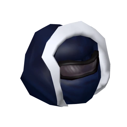 Night Assassin