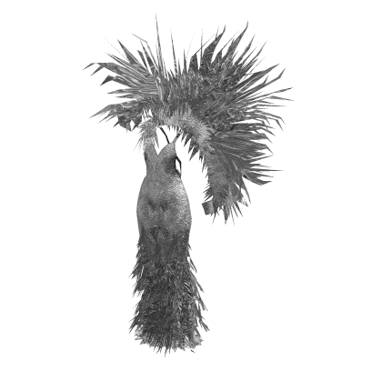 ʚ♡ɞWhite Silver Met Gala Couture Feather Dress