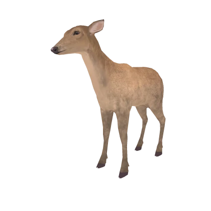 Nokotan Shikonoko Realistic Female Deer Pet (Left)