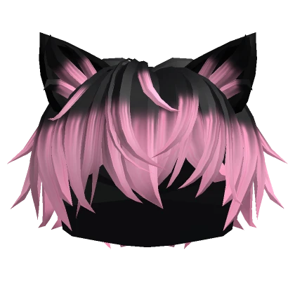 Black to Pink Messy Cat Boy Hair