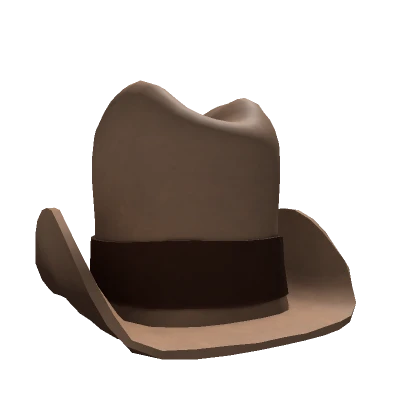 Large Cowboy Hat Brown