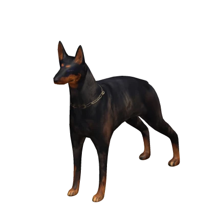 Benji The Dobermann