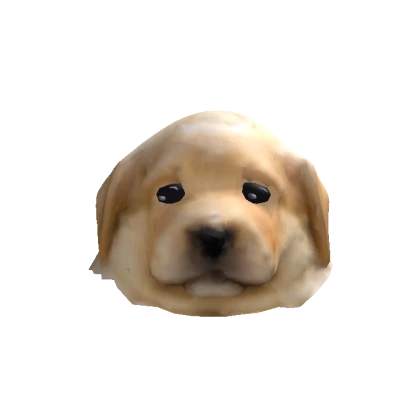 [🏆] chubby Jotchua Head