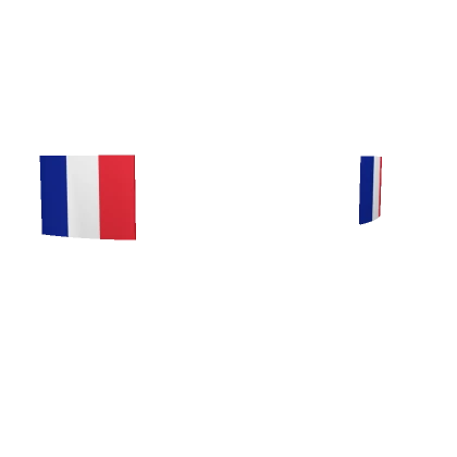 France face stickers