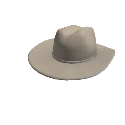 Tan Stetson