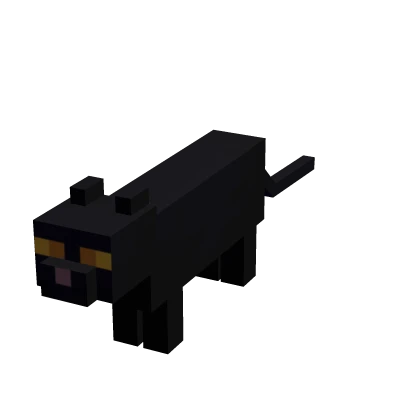 Dark Mini Cat Suit