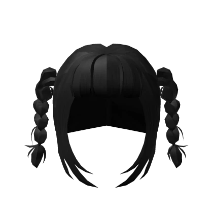 Black Mini Braided Pigtails