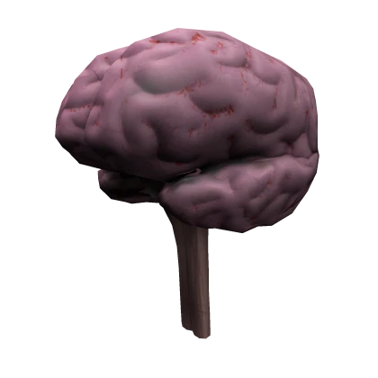 (Headless) Realistic Brain