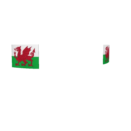 Wales face stickers