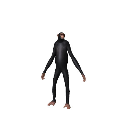 Mini Epic Monkey