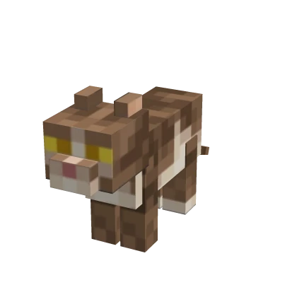 Mini Cat