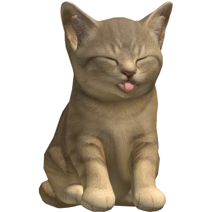 Realistic Silly Cat on Head