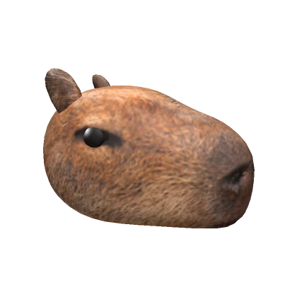 Realistic Capybara Head