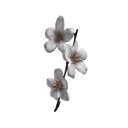  さくら sakura branch in your hair  樱花♡