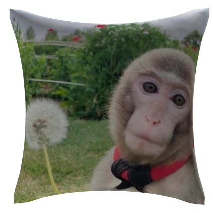 Bibizyana Pillow CODE: BIBIZYANAPILLOW