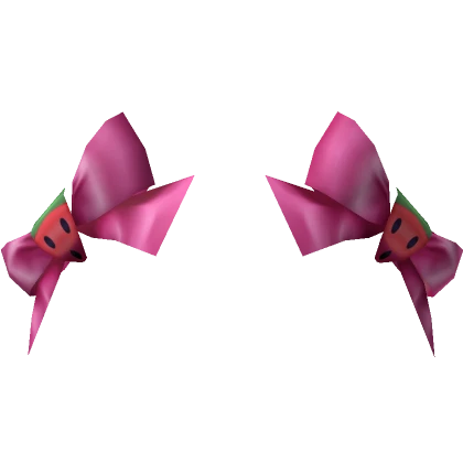 🍉Pink Watermelon Double Bows!