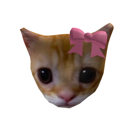 El Gato Cat with Bow 🎀 Head