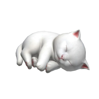 Cute White Kitten Cat Sleeping on Shoulder