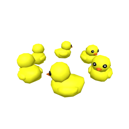 ✅Duck Crown Circling