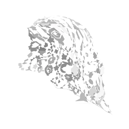 ♡ White lace rocco transparent detailed veil