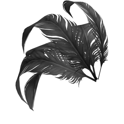6 Black Decorative Feathers