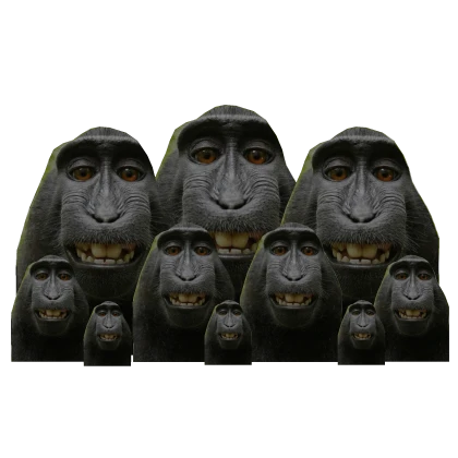 🙉 Monkey Family Backpack 🙉 Funny Troll Meme