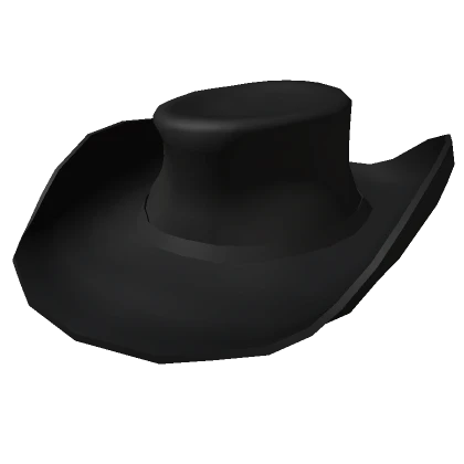 Cow Boy Hat