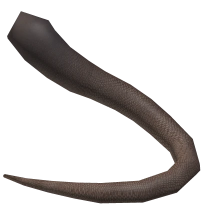 Rat Tail - The Rat