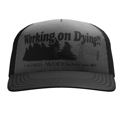 working on dying?! TRUCKER CAP BLACK