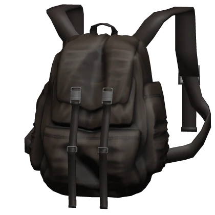 Brown Backpack