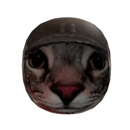 Cat Meme Mask