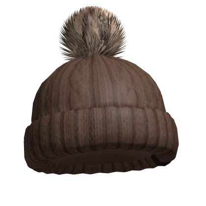 Brown Pom Pom Beanie