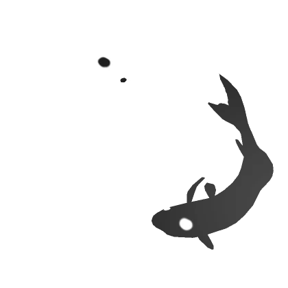 Koi Yin Yang