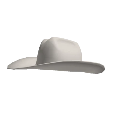 Western Cowboy Hat