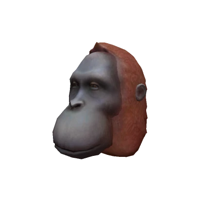 Orangutan Head