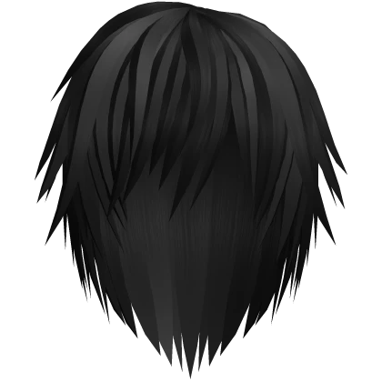 Vkei Boy Hair in Black [READ DESCRIPTION]