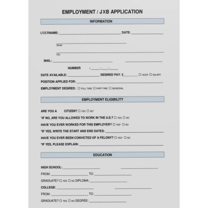Job Application Costume