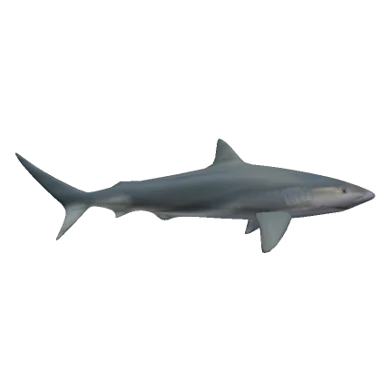 Realistic Shark (Shoulder)