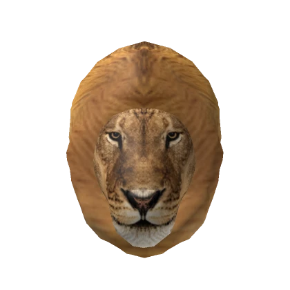 Lion Head