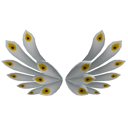 Peacock White Wings