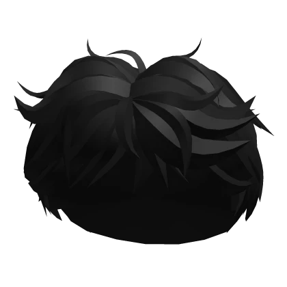 Black Fluffy Boy Hair