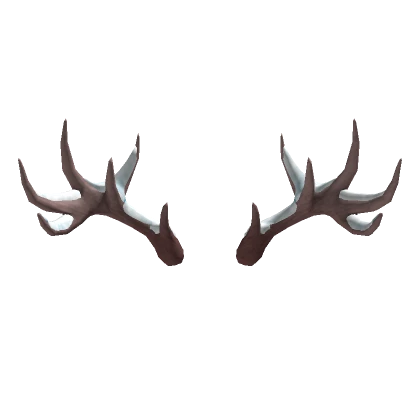 Snowy Cold Antlers!