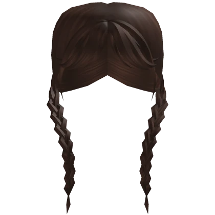 Brunette Braids Brown