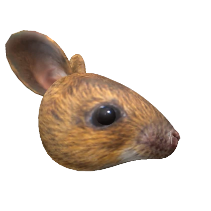 Realistic Mouse