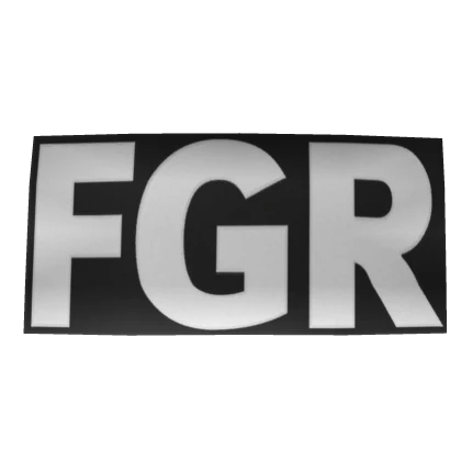 Mexico FGR Police Vest Patches