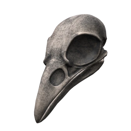 Crow Raven Skull Mask