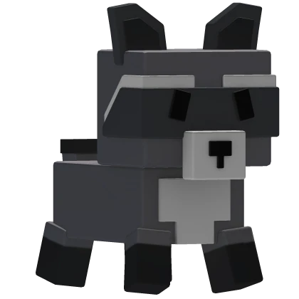 🦝 Raccoon Pet (Grow a Garden)