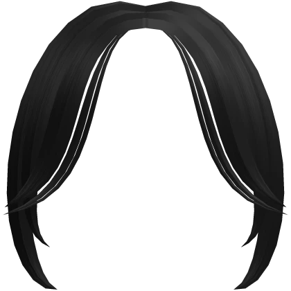 black Long smooth bangs